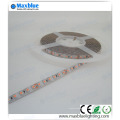 O mais popular DC12 / 24V SMD LED Strip Light com Ce RoHS